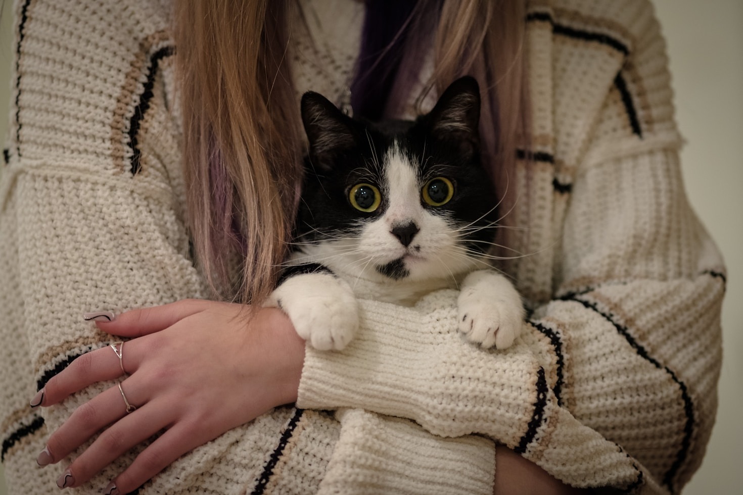 Cinco Dicas Para Um Pet Feliz