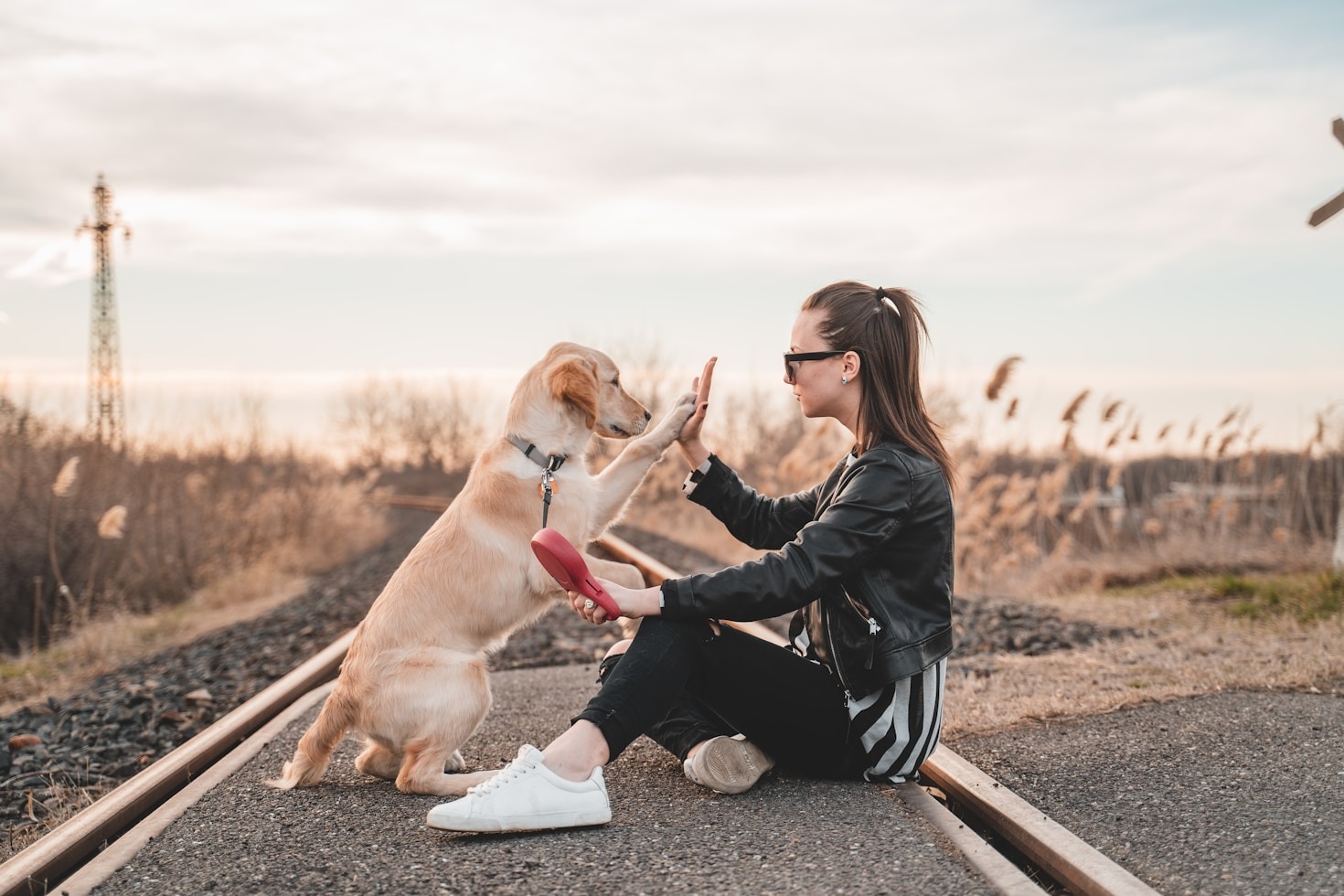 Cuidados Essenciais para Novos Donos de Pets